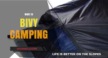 Bivy Camping Explained: Lightweight, Solo Adventures in Nature's Embrace