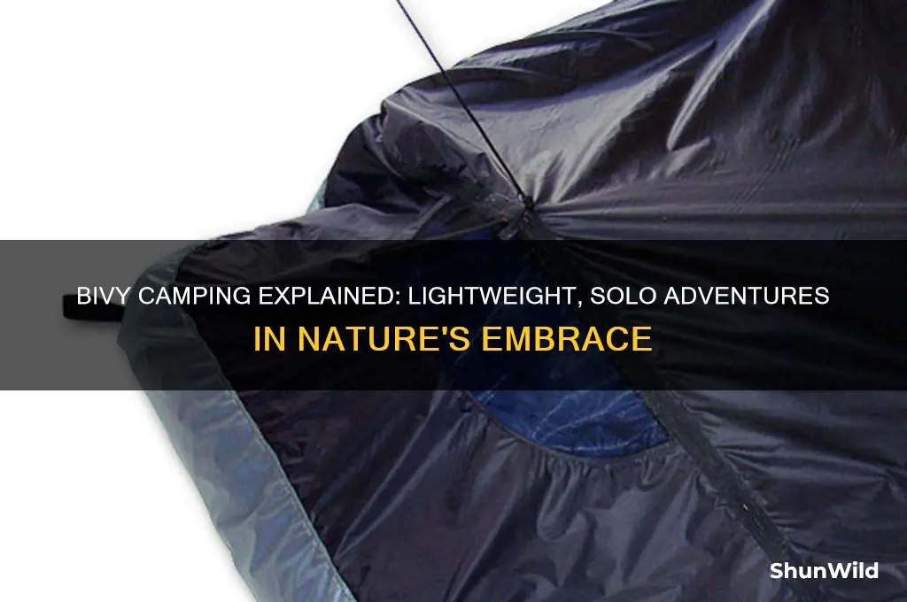 what is bivy camping