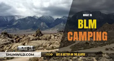 Understanding BLM Camping: A Guide to Bureau of Land Management Sites