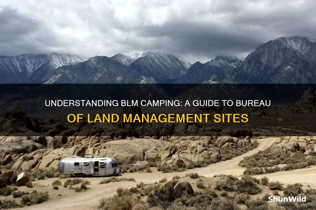 what is blm camping