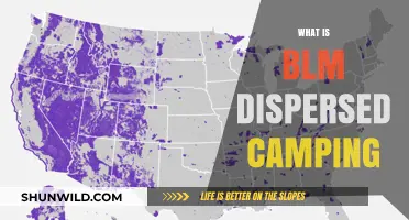 Understanding BLM Dispersed Camping: A Beginner's Guide to Free Camping