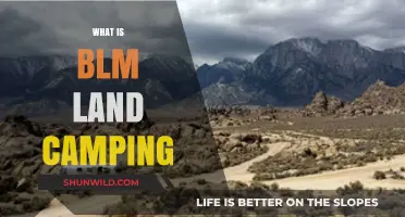 Exploring BLM Land Camping: A Beginner's Guide to Free Camping