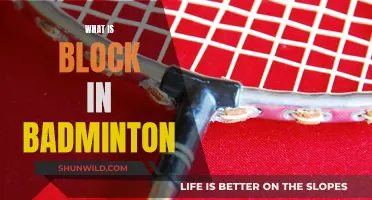 Mastering the Badminton Block