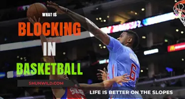 Understanding Blocking in Basketball: What, When, and Why