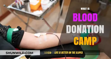 Understanding Blood Donation Camps: Purpose, Process, and Impact Explained