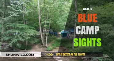 Exploring the Mystique of Blue Camp Sights: A Comprehensive Guide