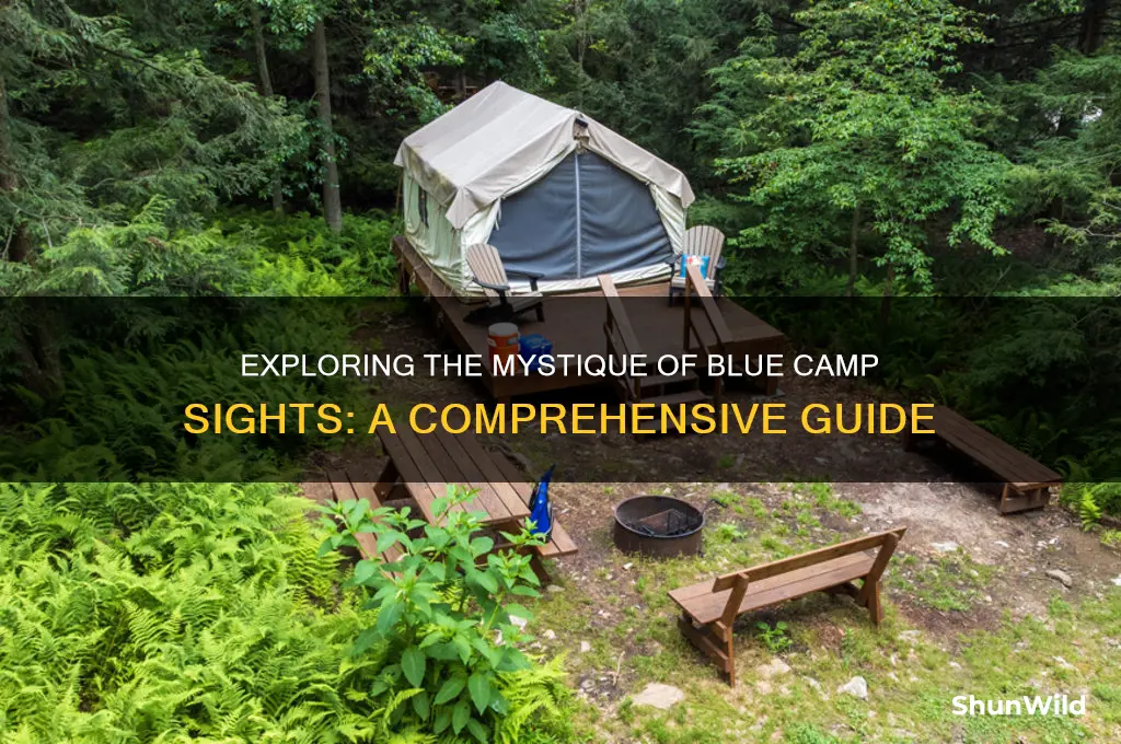 what is blue camp sights