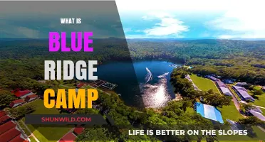 Discover Blue Ridge Camp: A Hidden Gem in the Mountains