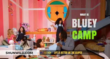 Exploring Bluey Camp: Fun, Adventure, and Family Bonding Explained