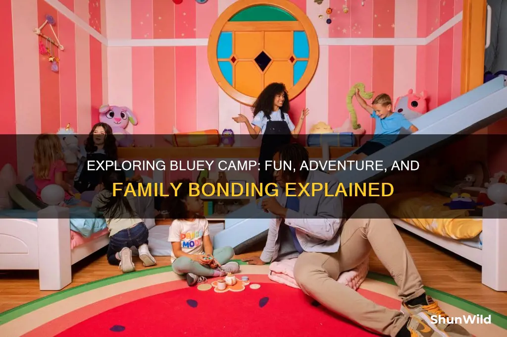 what is bluey camp