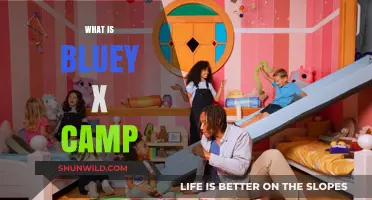 Bluey x Camp: Unveiling the Exciting Adventure Collaboration for Kids