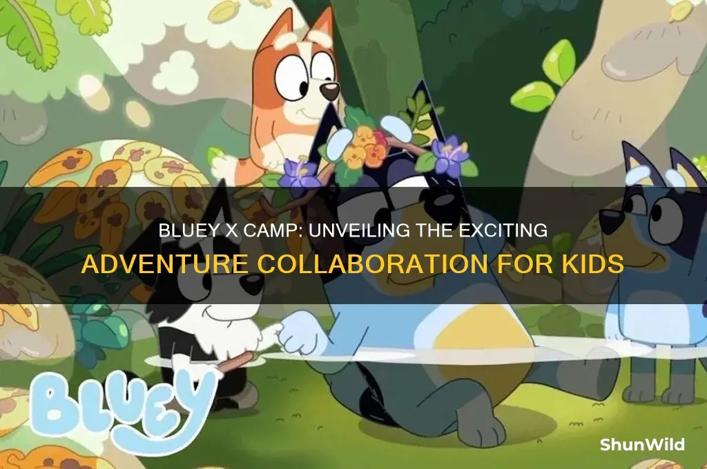 what is bluey x camp