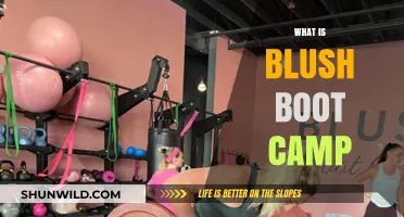 Unveiling Blush Boot Camp: Transformative Fitness Experience Explained