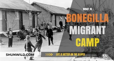 Unveiling Bonegilla: Australia's Historic Migrant Camp Story Explained