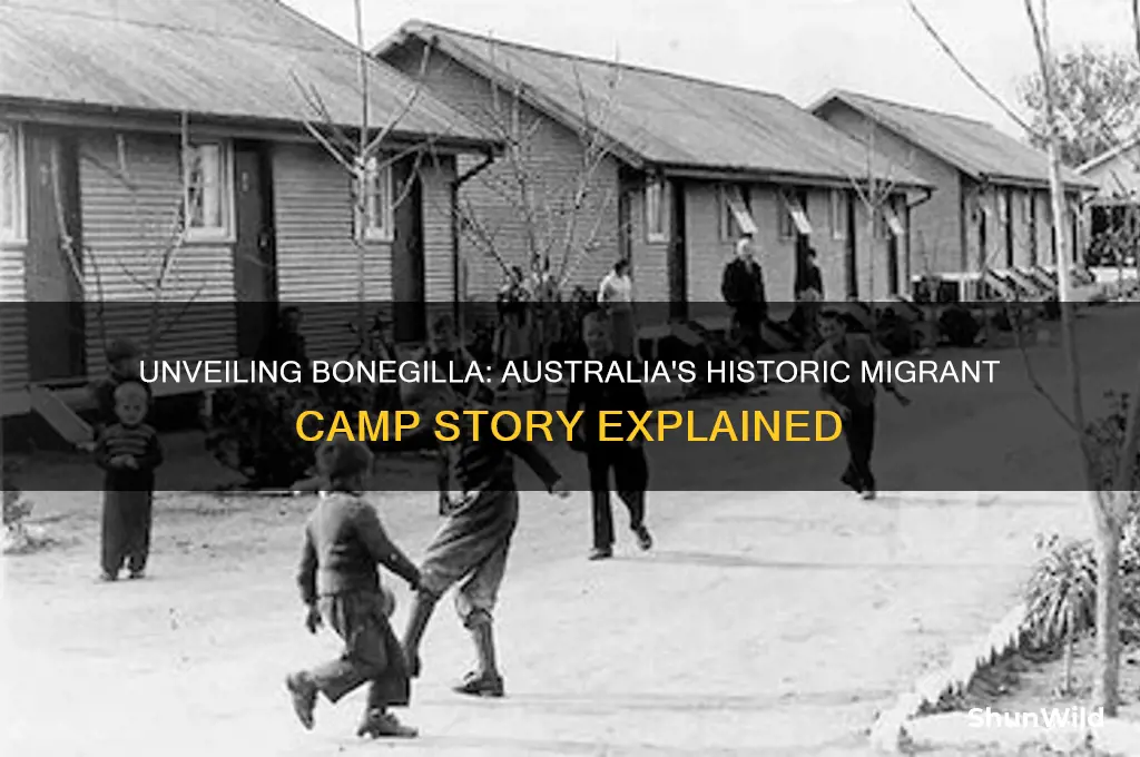 what is bonegilla migrant camp
