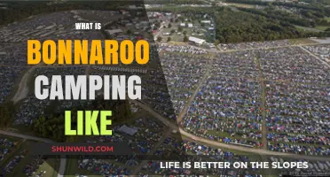 Bonnaroo Camping Experience: Tips, Essentials, and What to Expect