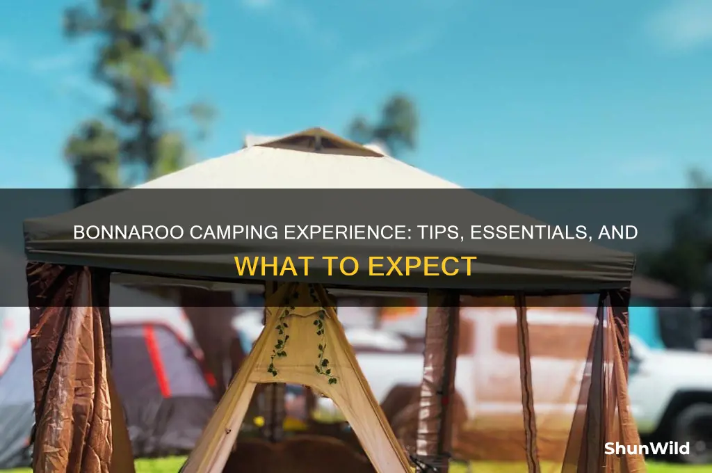 what is bonnaroo camping like