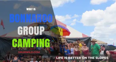 Discover Bonnaroo Group Camping: Ultimate Festival Experience for Friends