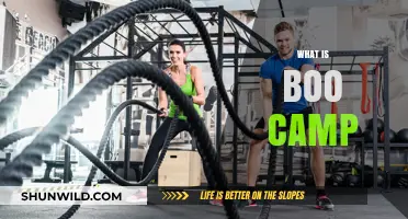 Understanding Boot Camp: A Beginner's Guide to Fitness Transformation