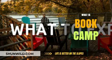 Understanding Book Camp: A Beginner's Guide to Literary Retreats