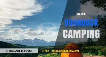 Exploring Boondock Camping: Off-Grid Adventures in Untouched Nature