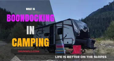 Exploring Boondocking: The Ultimate Guide to Off-Grid Camping Adventures