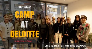 Deloitte Boot Camp: Unlocking Potential Through Intensive Training and Development