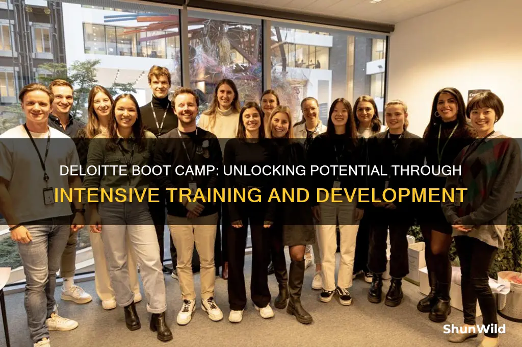 what is boot camp at deloitte