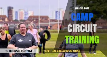 Discover Boot Camp Circuit Training: High-Intensity Workouts for Total Fitness