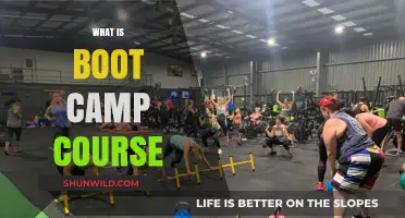 Understanding Boot Camp Courses: Intensive Training for Rapid Skill Development