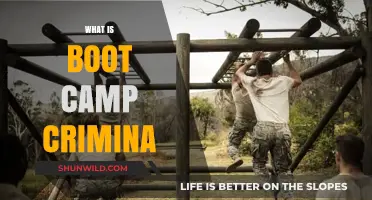 Understanding Boot Camp Criminal: Purpose, Process, and Impact Explained
