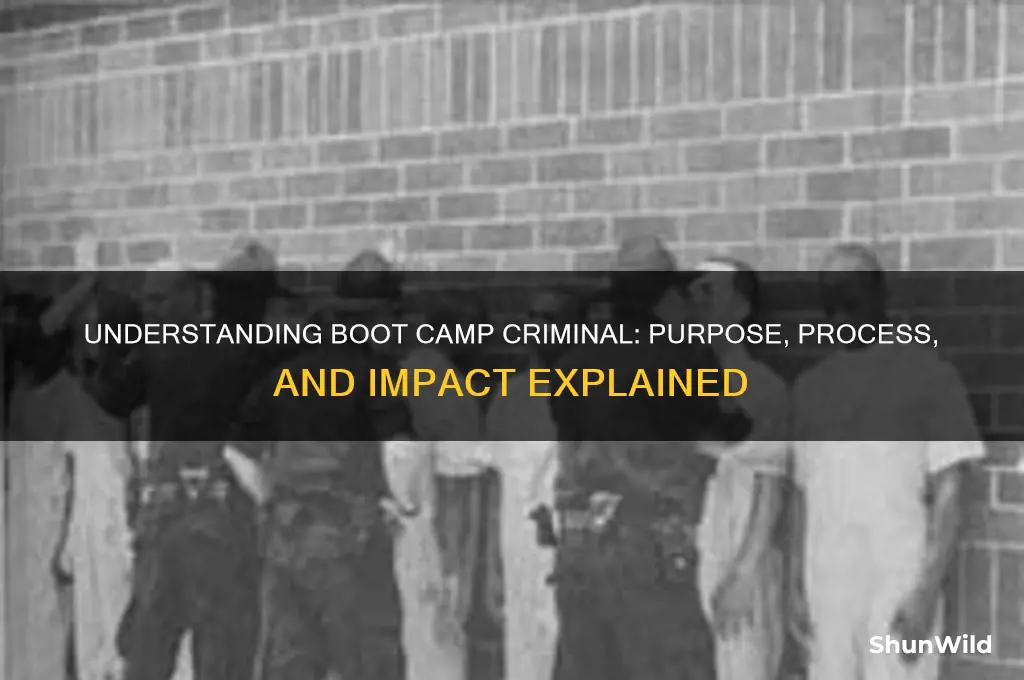 what is boot camp crimina
