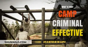 Is Boot Camp Criminal Justice Effective? Pros, Cons, and Outcomes