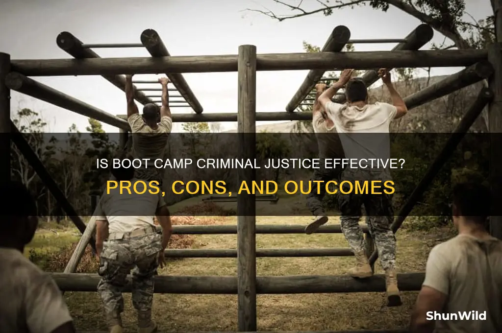 what is boot camp criminal effective