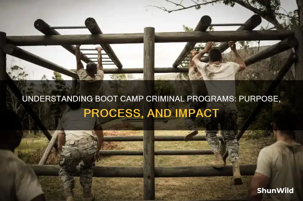 what is boot camp criminal
