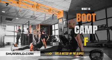 Discover Boot Camp F: Fitness, Focus, and Full-Body Transformation Explained