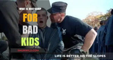 Understanding Boot Camps: Discipline or Solution for Troubled Youth?