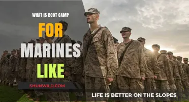 Marine Boot Camp: Rigorous Training, Discipline, and Transformation Explained