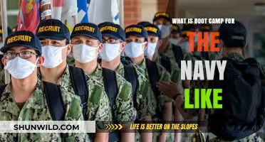 Navy Boot Camp: Rigorous Training, Discipline, and Transformation Explained