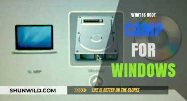 Understanding Boot Camp: Running Windows on Your Mac Explained