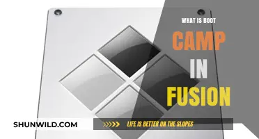 Understanding Boot Camp in Fusion: A Comprehensive Beginner's Guide