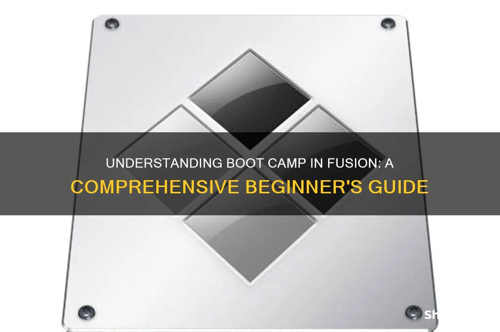 what is boot camp in fusion