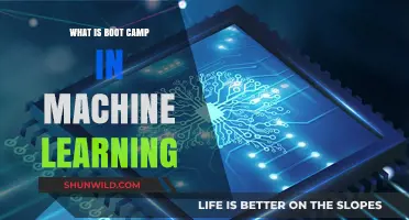 Understanding Machine Learning Boot Camps: A Comprehensive Beginner's Guide