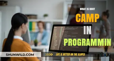 Understanding Programming Boot Camps: Intensive Learning for Aspiring Developers