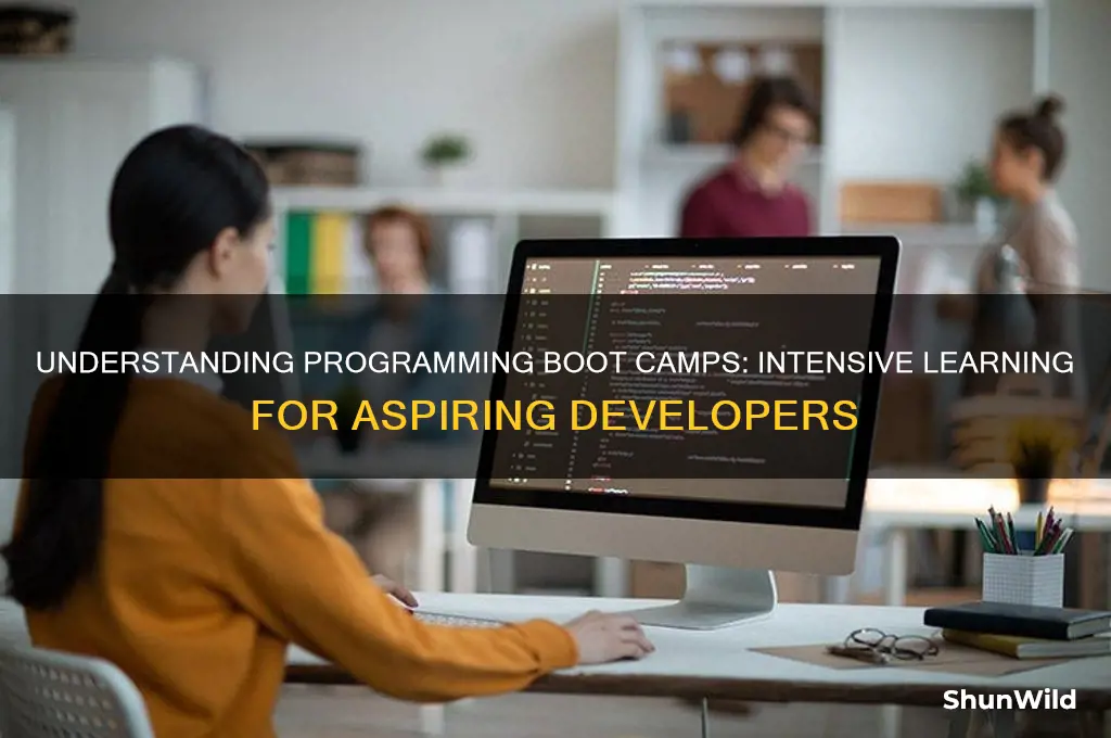 what is boot camp in programming