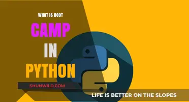 Master Python Fast: Understanding Boot Camp Training Essentials