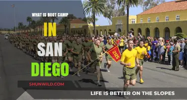 Discover San Diego Boot Camp: Fitness, Discipline, and Transformation Explained