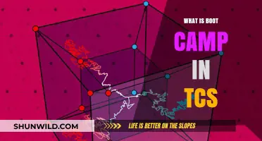 Understanding TCS Boot Camp: Training, Benefits, and Career Opportunities
