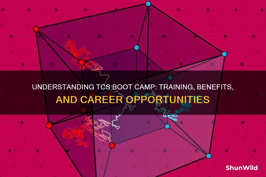 what is boot camp in tcs