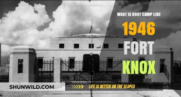 1946 Fort Knox Boot Camp: A Glimpse into Military Life